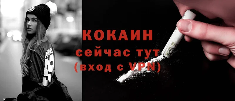 купить наркотики цена  Новая Ляля  kraken зеркало  Cocaine VHQ 